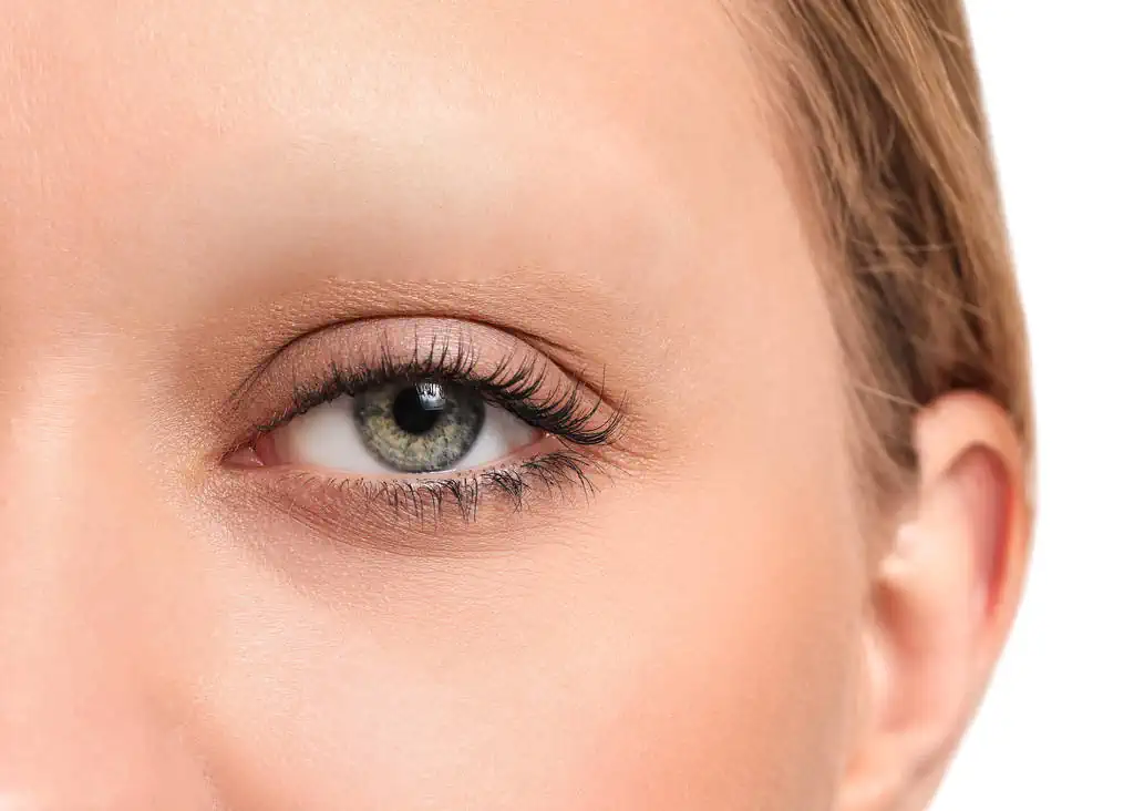 Curso de Alopecia en cejas